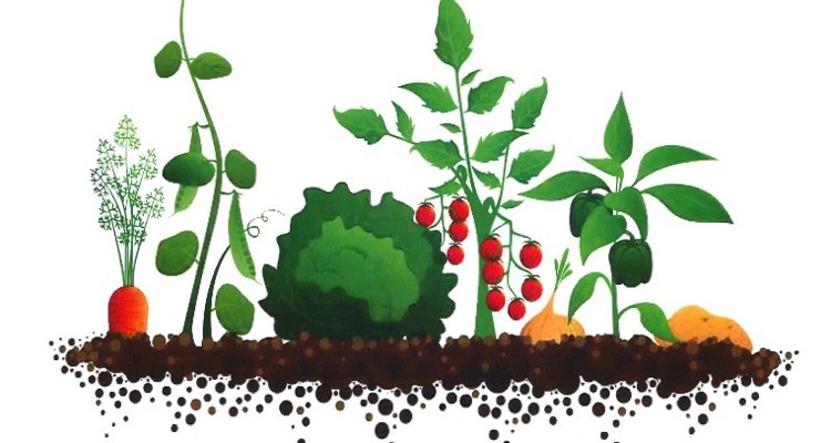 Allotment Update Allotment Update