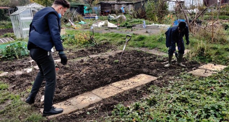 Allotment Update