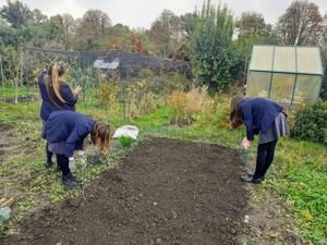 Allotment Y9 photo 3