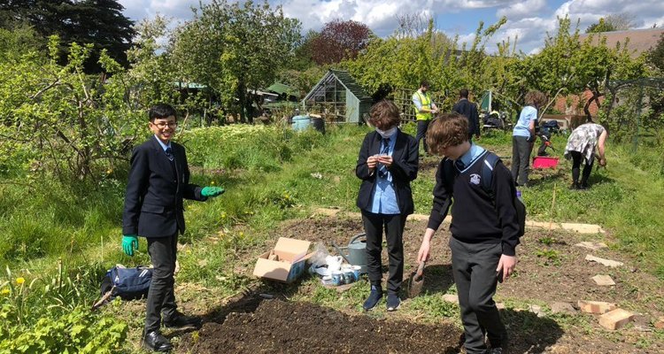 School Allotment Update School Allotment Update