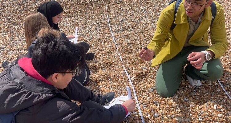 Year 11 Geography Trip to Brighton